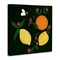 Stupell Industries Citrus & Bumble Bee Canvas Wall Art Design by Michelle Ingari Designs